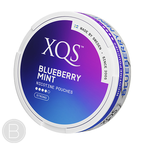 XQS - BLUEBERRY MINT - 20mg NICOTINE POUCH